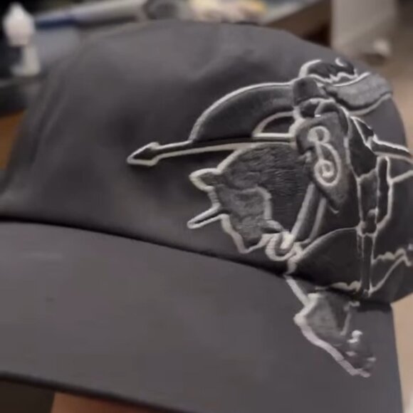 Brand New Authentic Burberry cap - Picture 3 of 8